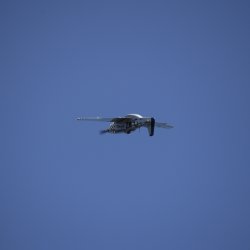 RDMFC Open Weekend 02.08.2025